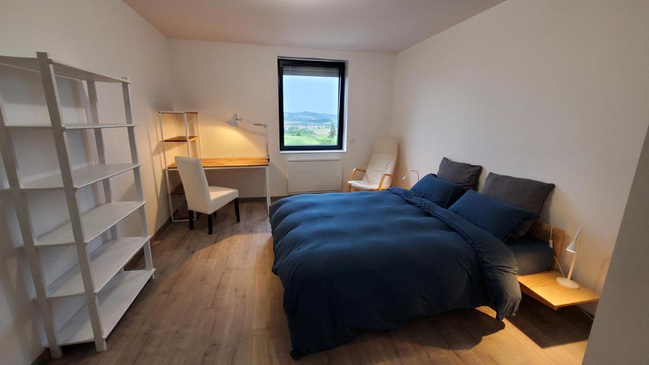 L'Ecrin De Saint Genest Lerpt - Belle Vue Et Calme Apartment Exterior photo